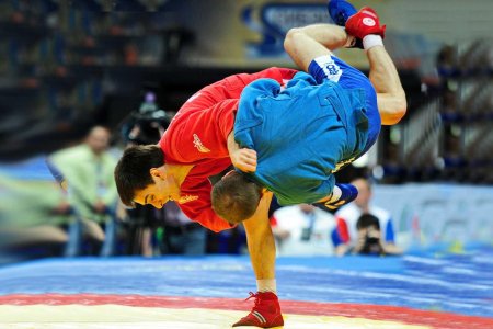 Секция самбо