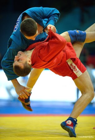 Куржев самбо