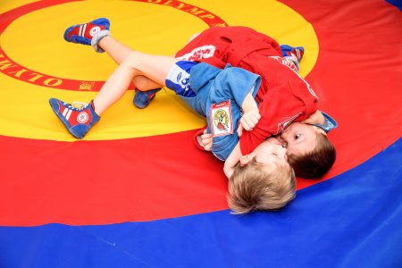 Самбо борьба