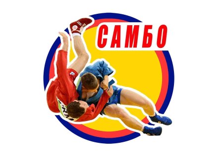 Самбо на белом фоне