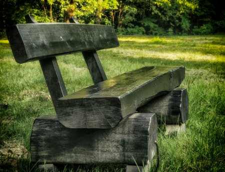 Скамейка в лесу