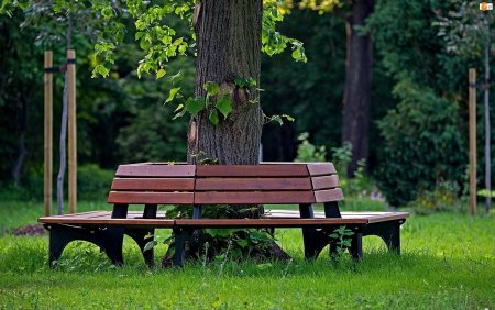 Шишкин скамейка в аллее