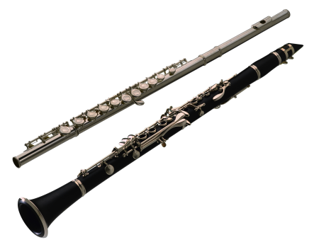 Духовой инструмент кларнет