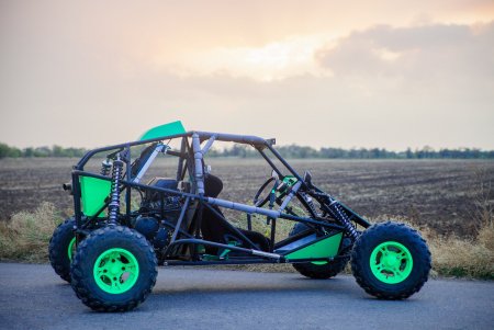 Багги Барракуда 2 местная