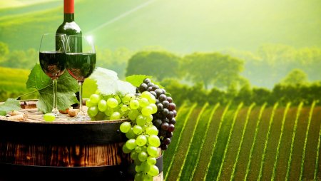 Тоскана Италия винодельни