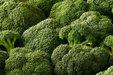 Капуста брокколи Качан