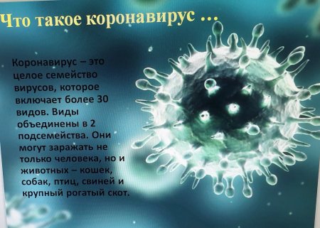 Семейства вирусов