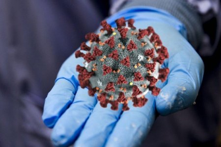 Коронавирус инфекциясы
