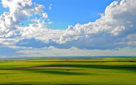 Равнинный пейзаж