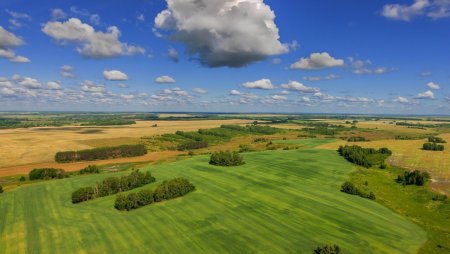 Поля равнины Брянская область