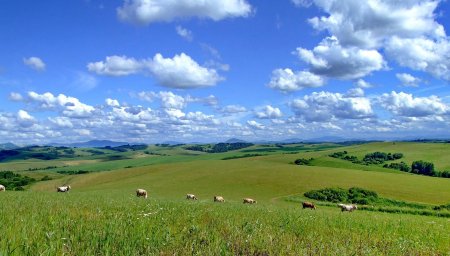 Просторы Алтайского края