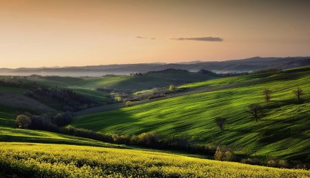 Поля равнины Франции