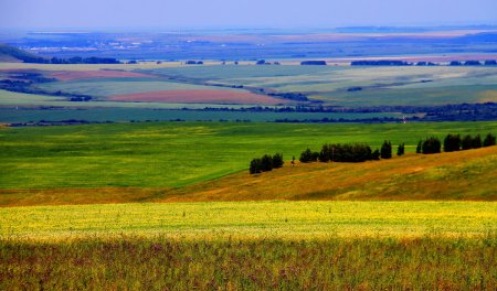 Кулундинская степь Алтайский край