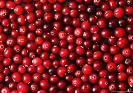 Cranberries ягода