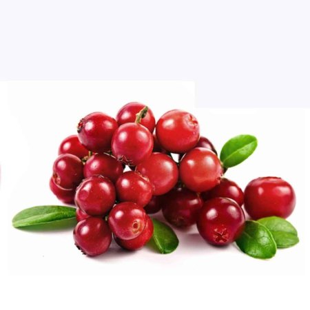 Cowberry брусника