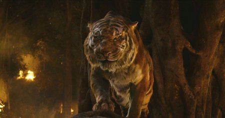 Шерхан Маугли 2016