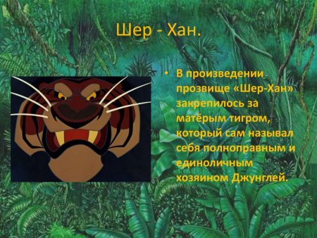 Сказочные джунгли Киплинга презентация