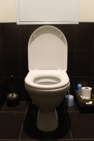 Унитаз в квартире