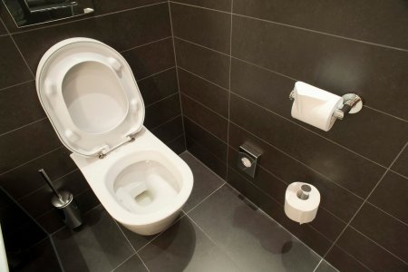 Унитаз в квартире