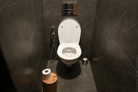 Унитаз с инсталляцией и гигиеническим душем