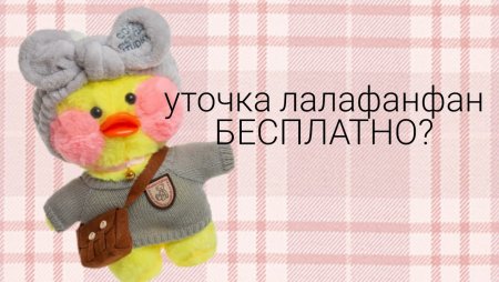 Одежда для уточки лалафанфан