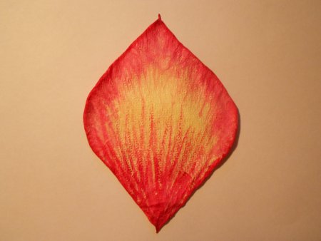 Текстура цветка лепестка