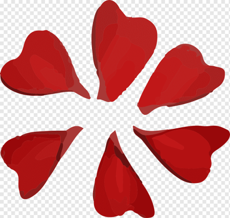 Лепестки цветов