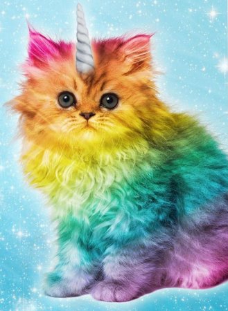 Разноцветная кошка