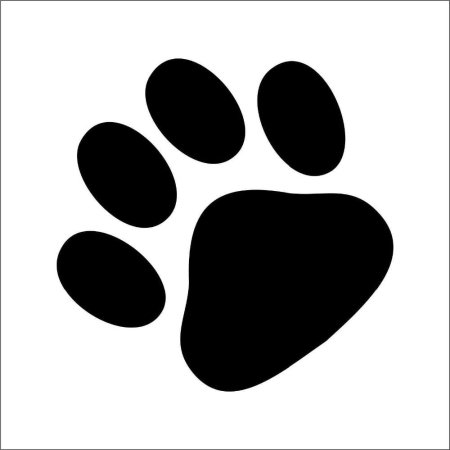 Отпечаток лапы кота