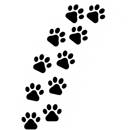 Кошачьи лапки следы