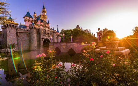 Disneyland Park в Калифорнии замок