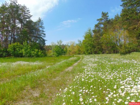 Природа Южного Урала Солнечная Поляна