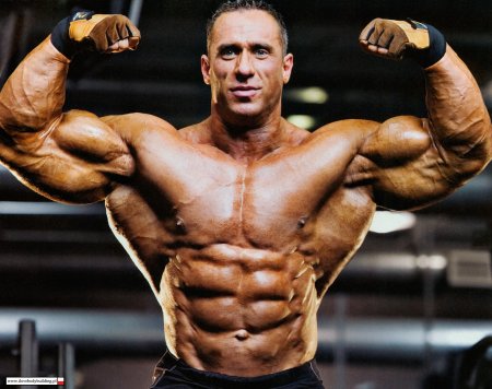 Качки культуристы