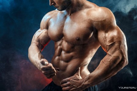 Красивые мышцы