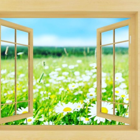 Окно с видом на природу