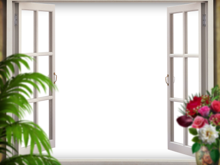 Открытое окно