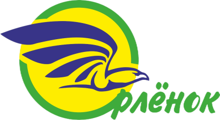 Орлёнок детский лагерь логотип