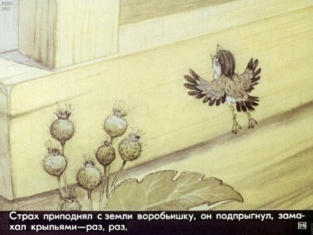 Иллюстрации к сказке Воробьишко Горького