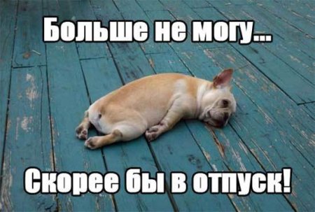 Скоро в отпуск