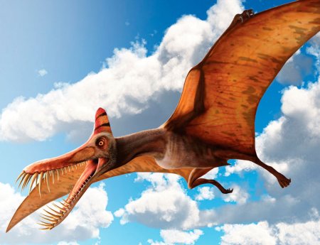 Динозавры летающие Птеранодон