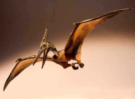 Динозавры хищники птеродактиль