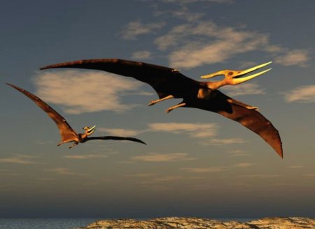 Птеродактиль динозавр