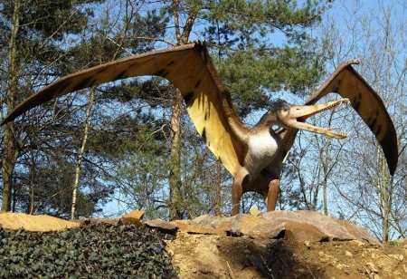 Тиль птеродактиль