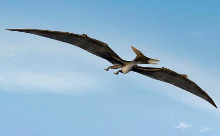 Птеранодон динозавр