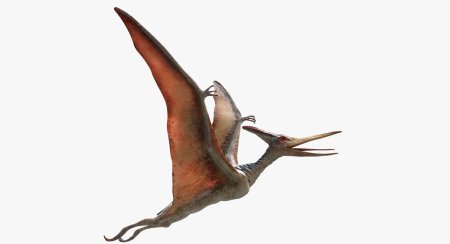 Динозавры летающие птеродактиль