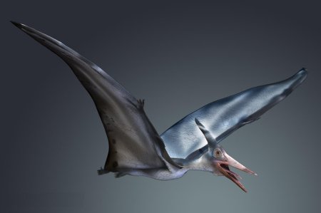 Гигантский Птеранодон Родан