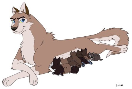 Лайны Балто