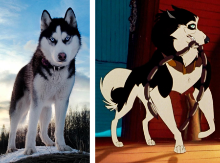 Мультик про хаски Балто