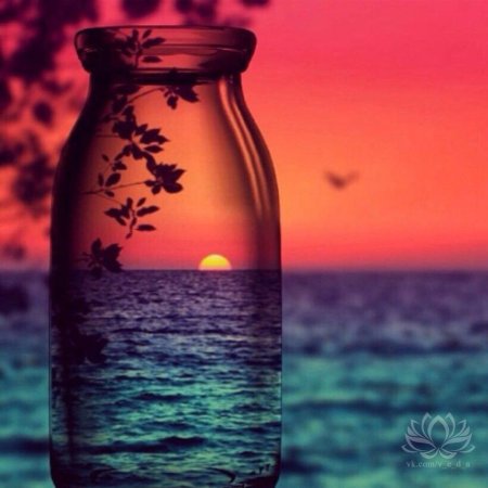 Банка на закате