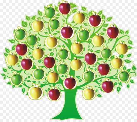 Яблоня для детей